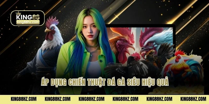 Áp dụng chiến thuật đá gà siêu hiệu quả