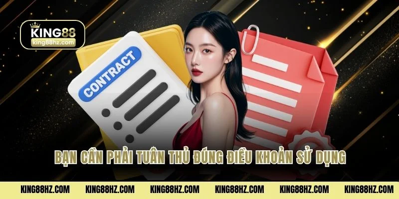 Bạn cần phải tuân thủ đúng điều khoản sử dụng