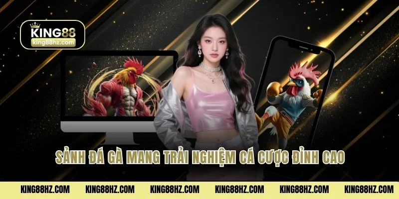 Sảnh đá gà mang trải nghiệm cá cược đỉnh cao