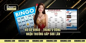Xổ Số Bingo